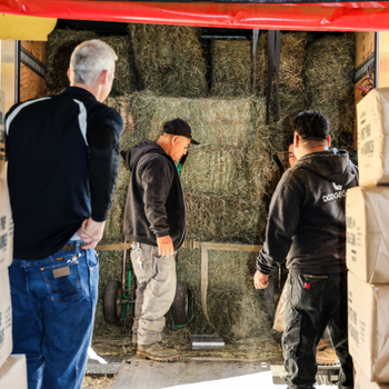 Three men are unloading bales of hay from a truck. Two face them with a dolly in view, framed by cardboard boxes. The setting appears industrious.