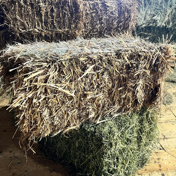 Straw