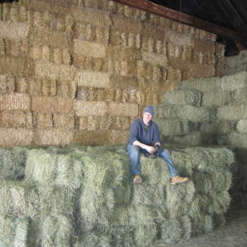 A person sits on stacked hay bales in a barn. The background is filled with tightly packed hay, creating a rustic, tranquil farm ambiance.